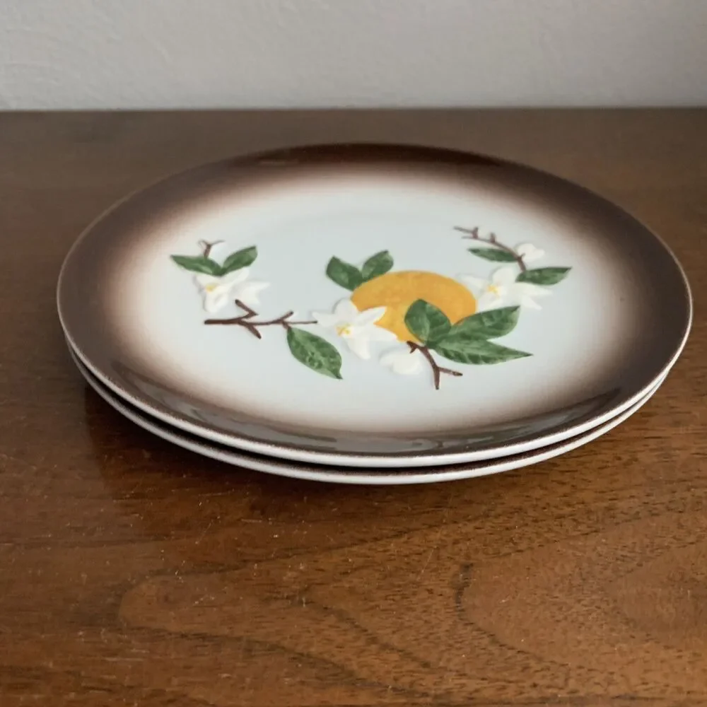 Orchard Ware Orange Blossom Brown & White Appetizer Plates Lot of 2 70's MCM